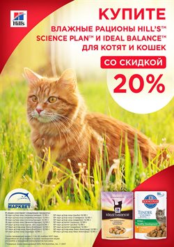 Преложения из Марквет в рекламном проспекте Одинцово