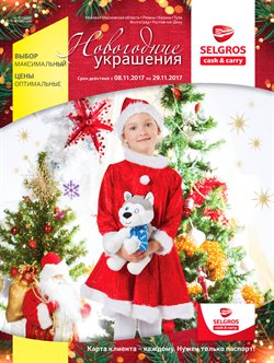 Преложения из Selgros в рекламном проспекте Красногорск