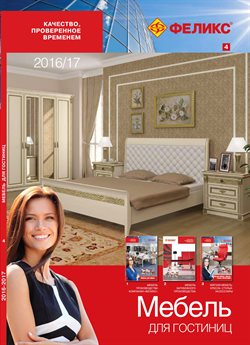 Преложения из Феликс в рекламном проспекте Железнодорожный