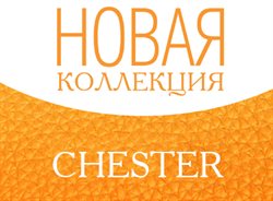 Преложения из Chester в рекламном проспекте Казань