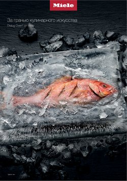 Предложения из ТЦ Алатырь в рекламном проспекте Miele ( Более месяца)